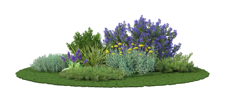 Wiele krzewów i roślin kwitnących w małym ogrodzie